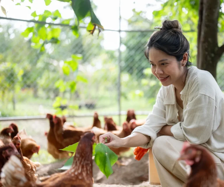 Mujer ofreciendo una hoja a gallinas en un espacio abierto al aire libre